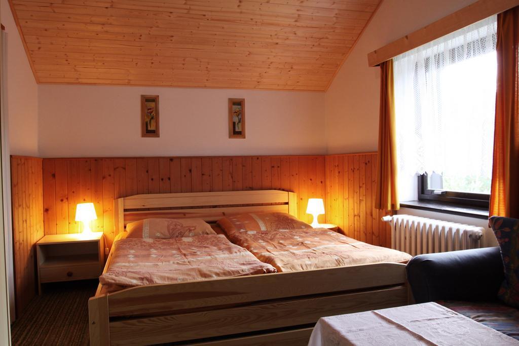 Pension Jana Harrachov Room photo